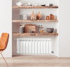 Биметаллический радиатор отопления Fondital 350/100 Alustal Plus 6 секций