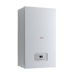Настенный газовый котел Protherm Гепард 23 MTV (2021)